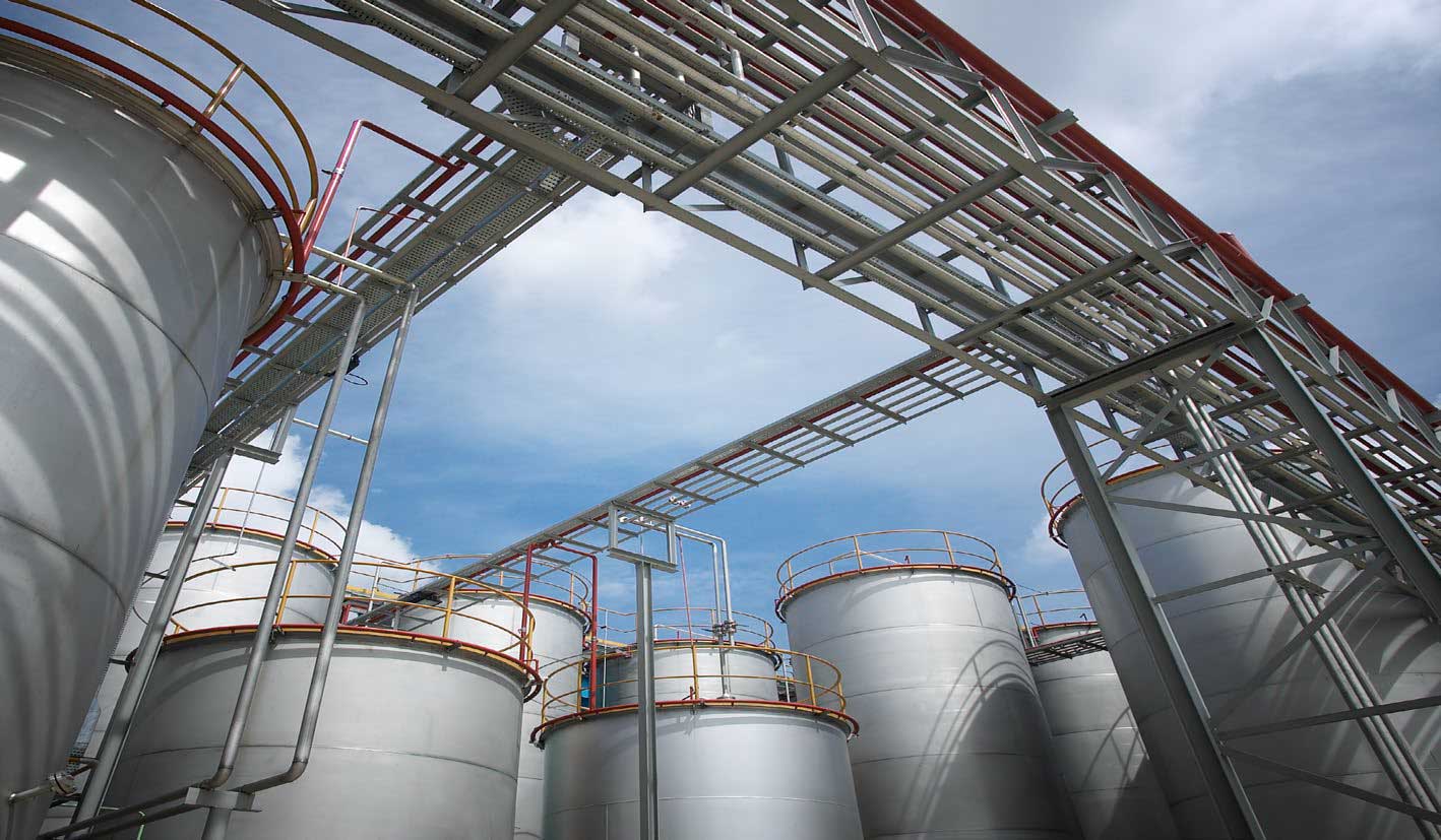 Environmental impact assessment and environmental advisory for a petroleum storage terminal